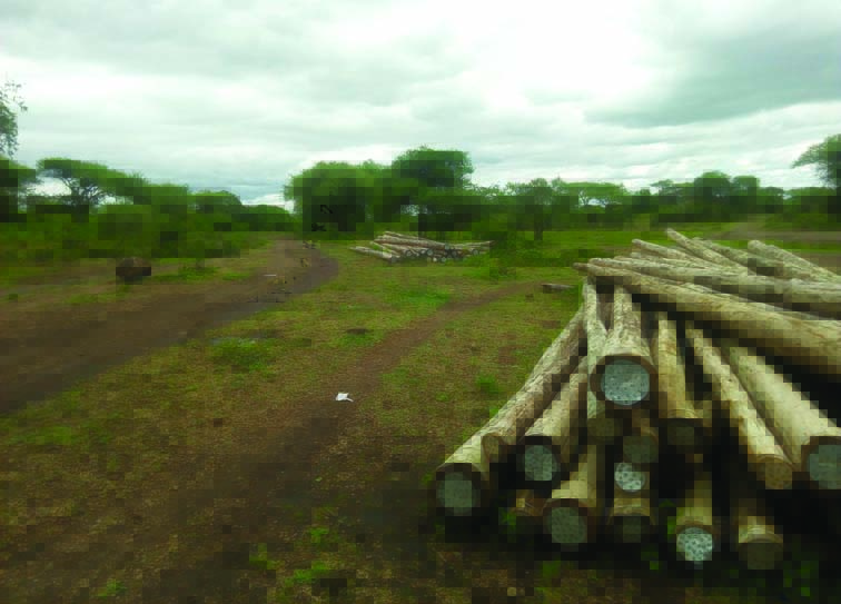 Evaluative Assessment of Environmental,  Social and Resettlement Practices And  Management Of The Turnkey III Project