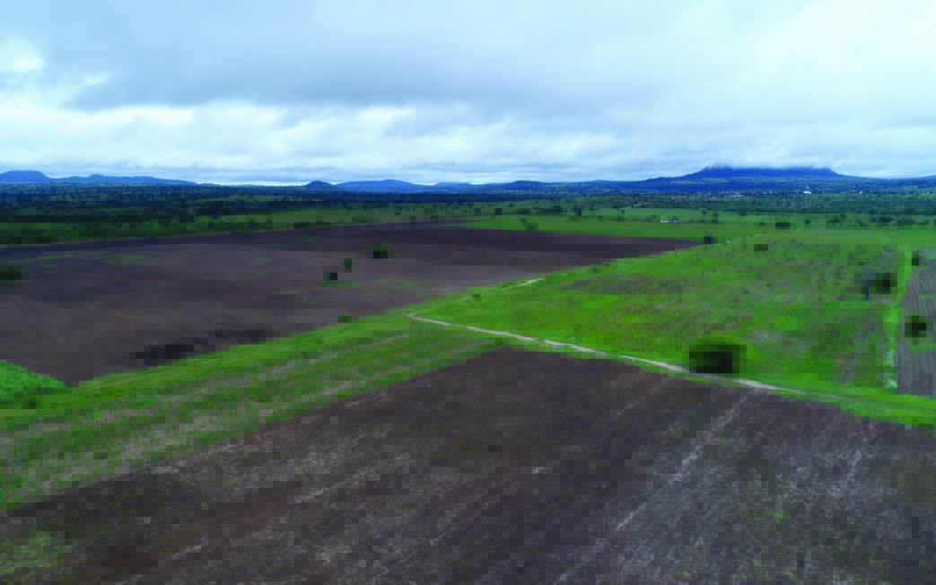 Baseline Environmental Assessment Using Drones